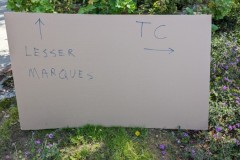 lesser-marques